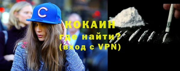 индика Бутурлиновка